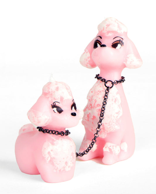 Pink Poodle / ピンクのプードル