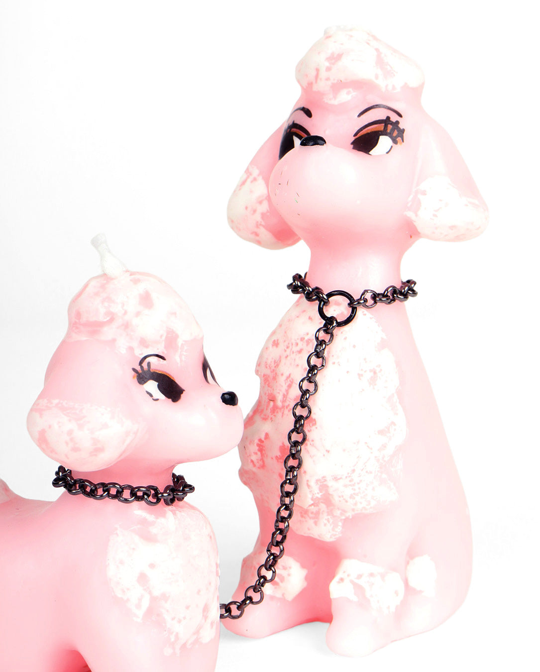 Pink Poodle / ピンクのプードル – LOVE nagoya