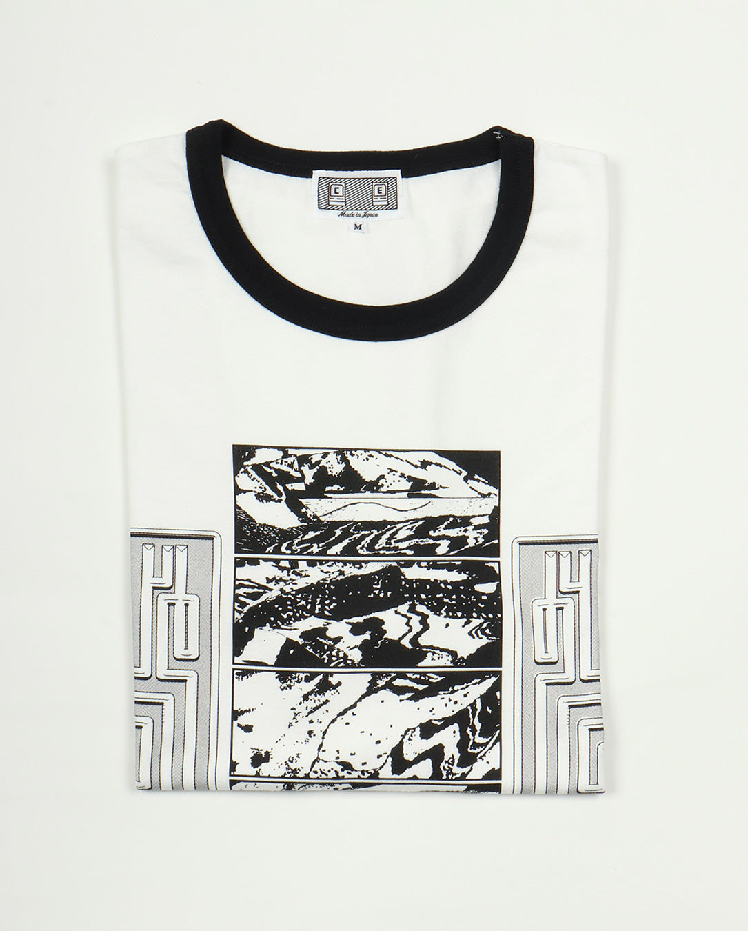 FK SequencingPatch Ringer T