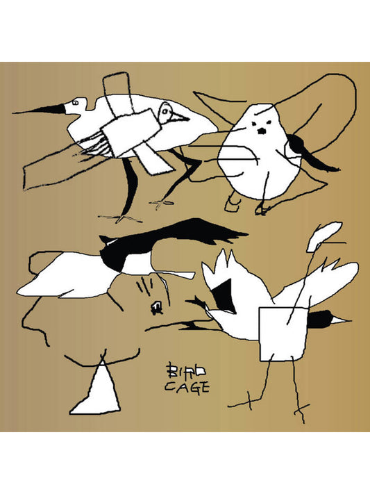 VA Bird Cage: Birdfriend Archives 2xLP